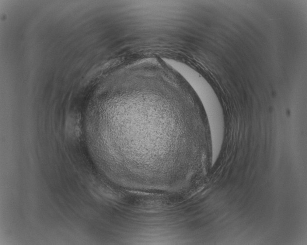 X0000065260323200603031835