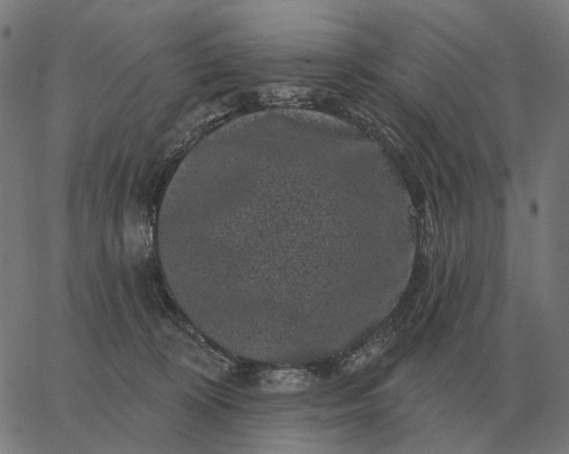 X0000065260324200603031835