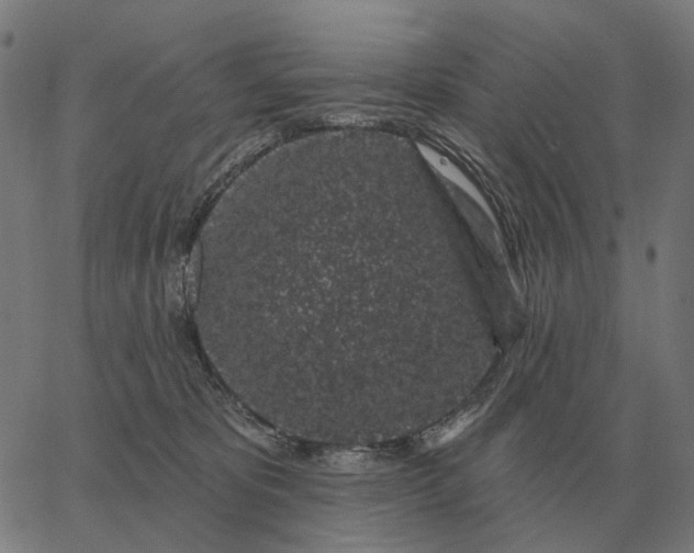 X0000065260325200603031835