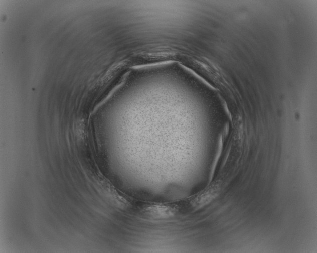 X0000065260326200603031835