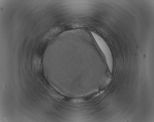 X0000065260327200603031835