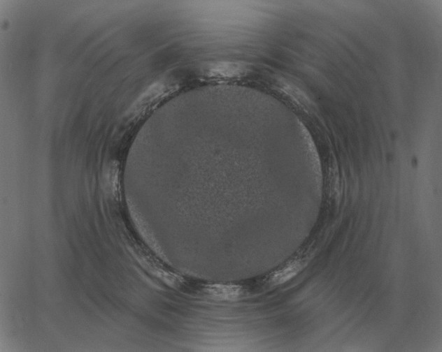 X0000065260328200603031835