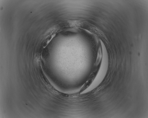 X0000065260329200603031835