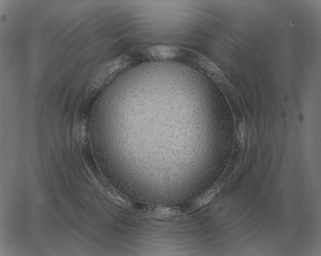 X0000065260330200603031835