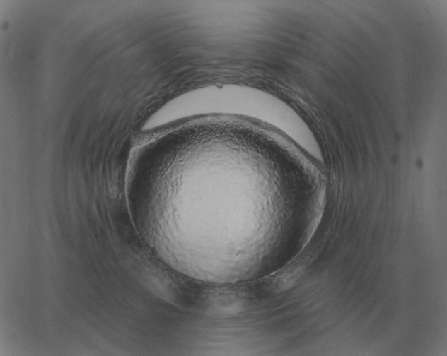 X0000065260331200603031835