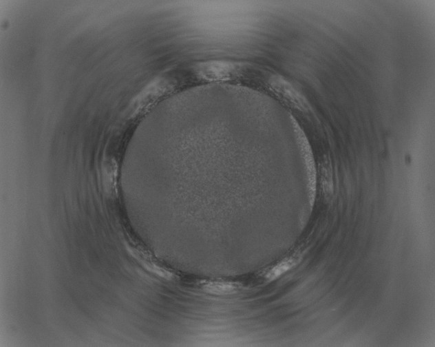 X0000065260332200603031835