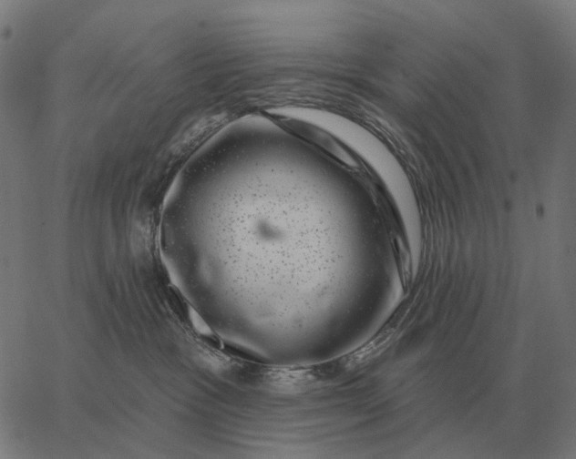 X0000065260333200603031835