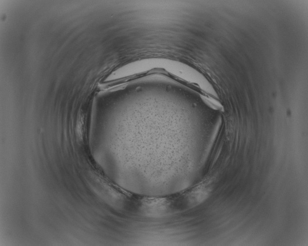 X0000065260334200603031835