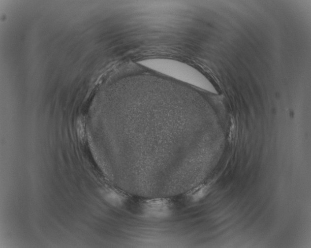 X0000065260335200603031835