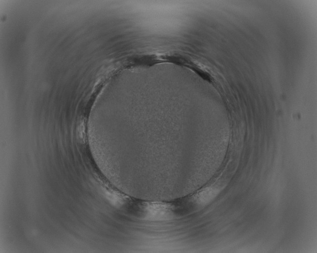 X0000065260336200603031835