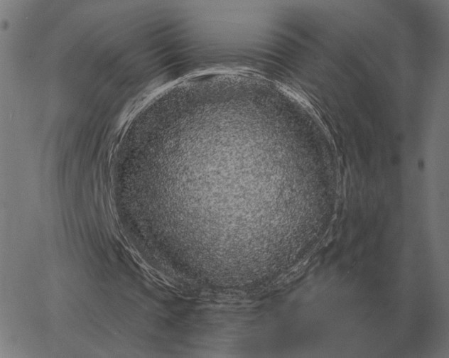 X0000065260337200603031834