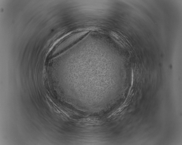 X0000065260338200603031834