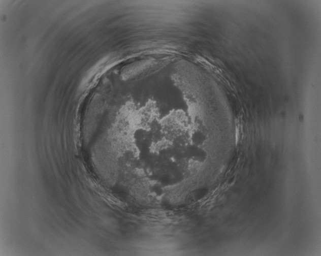 X0000065260339200603031834