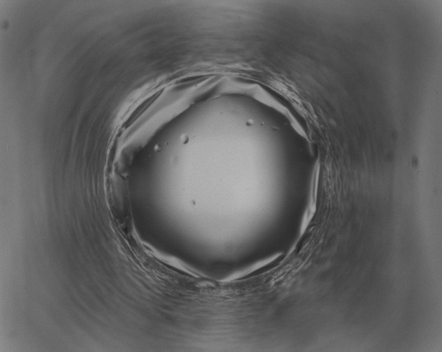 X0000065260340200603031834