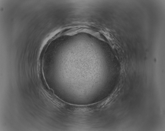 X0000065260342200603031834