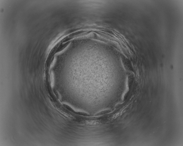 X0000065260344200603031834