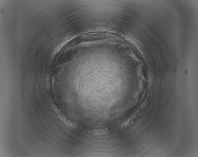 X0000065260345200603031834