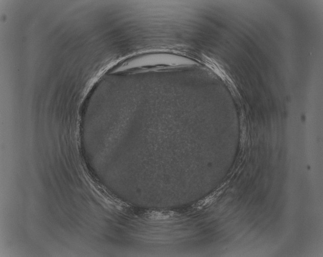 X0000065260346200603031834