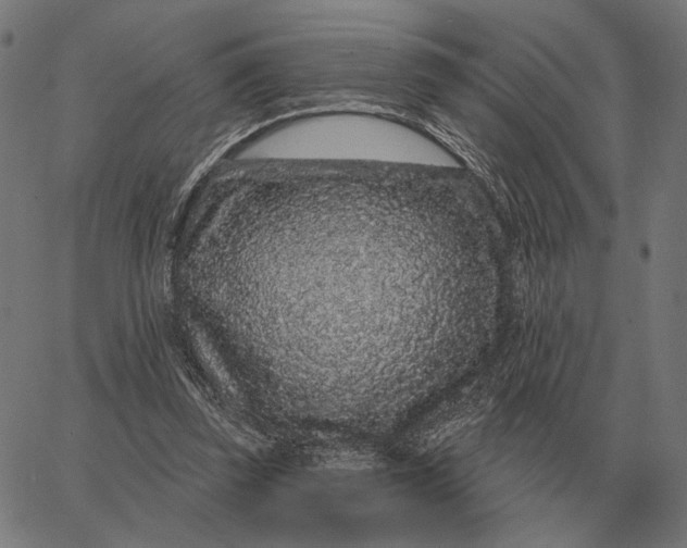 X0000065260347200603031834