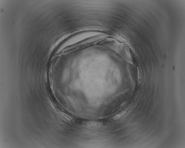 X0000065260348200603031834