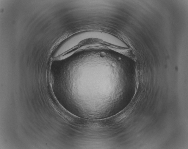 X0000065260349200603031834