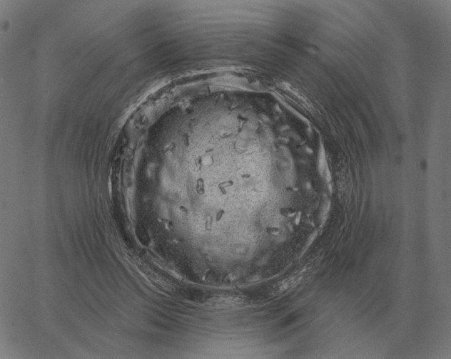 X0000065260350200603031834