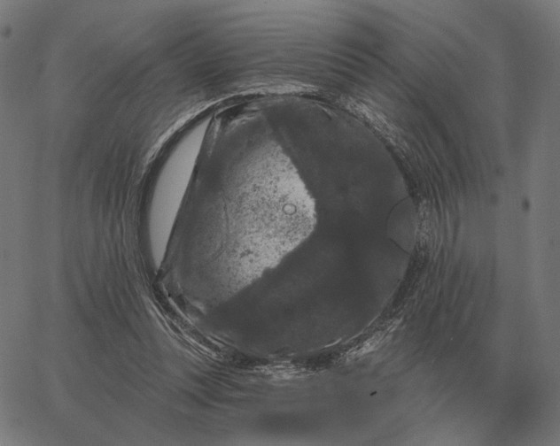 X0000065260351200603031834