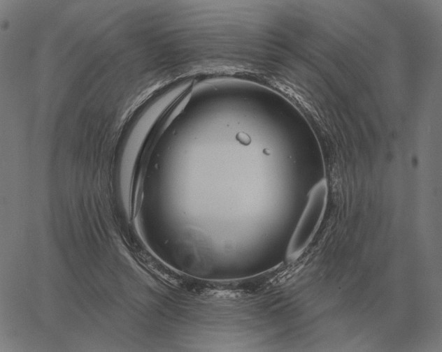 X0000065260352200603031834