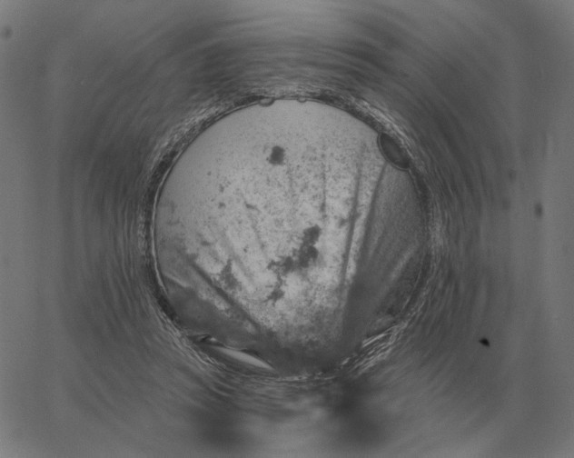 X0000065260353200603031834