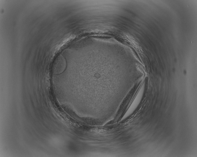 X0000065260354200603031834