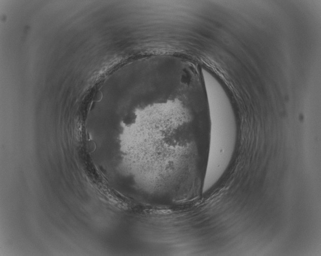 X0000065260355200603031834