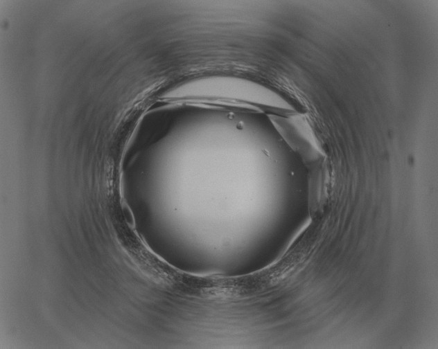 X0000065260356200603031834