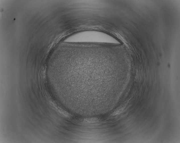 X0000065260357200603031834