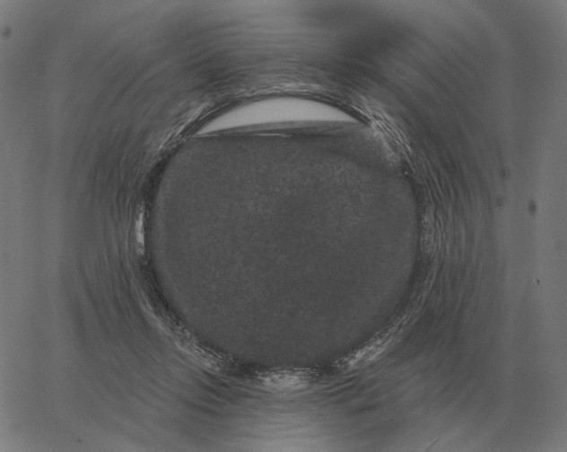 X0000065260358200603031834