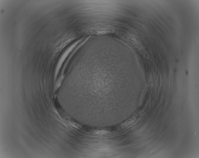 X0000065260360200603031834