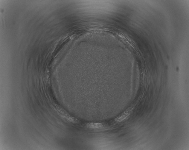 X0000065260361200603031834