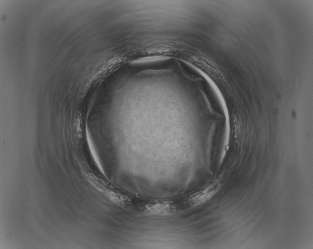 X0000065260362200603031834