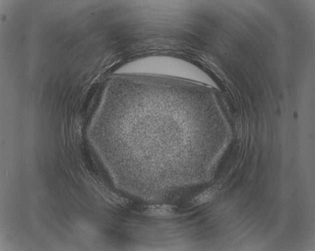 X0000065260363200603031834