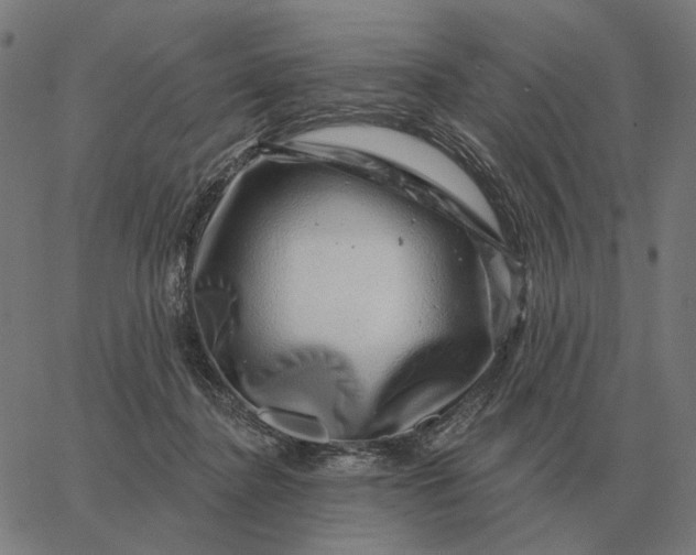 X0000065260364200603031834