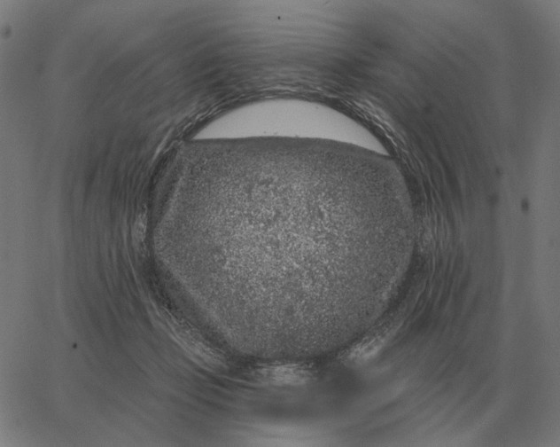 X0000065260365200603031834