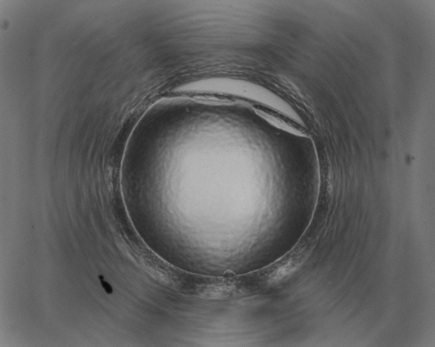 X0000065260366200603031834