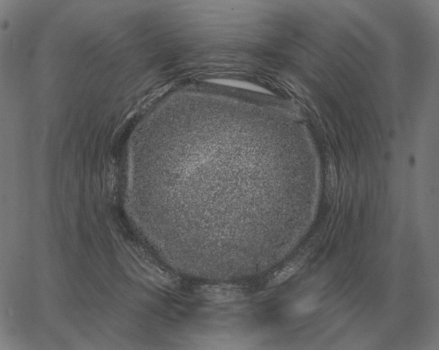 X0000065260367200603031834