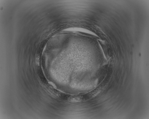 X0000065260368200603031834