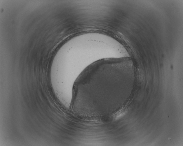 X0000065260370200603031834