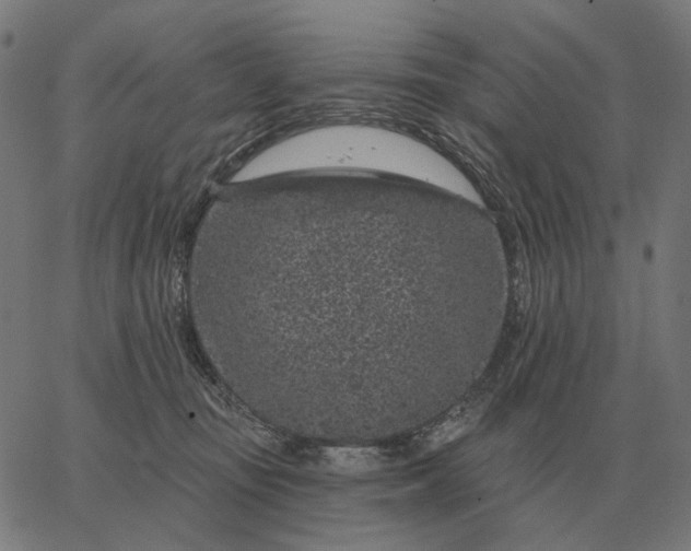 X0000065260371200603031834