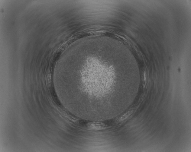 X0000065260372200603031834