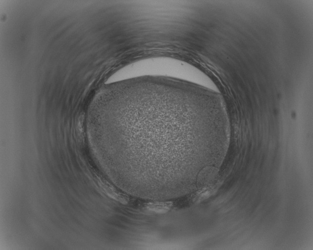 X0000065260373200603031834