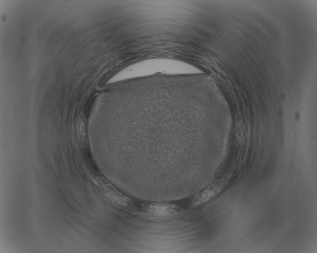 X0000065260375200603031834