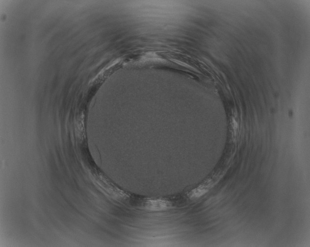 X0000065260376200603031835