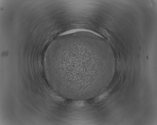 X0000065260377200603031835